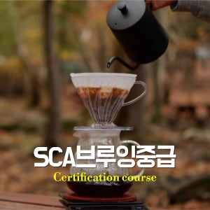 SCA브루잉중급(Intermediate)