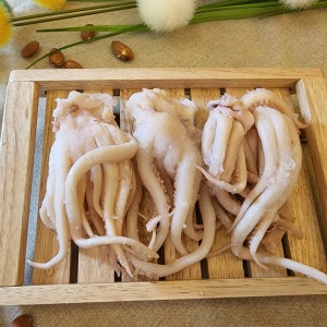 웅이네 국산 백족 오다리 버터구이 오징어 1kg 부드러운 최상급 맛있는 영화 호프 대용량
