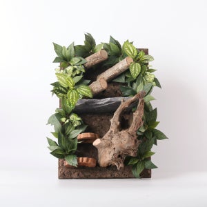 크레스티드게코 사육장 백스크린