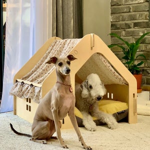 두그루 중형견 원목 강아지집 애견하우스 [빅루루 지붕7컬러]
