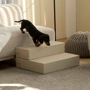 도그라피 강아지계단 애견계단 강아지스텝 멀티폴딩 2단