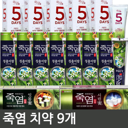 죽염치약 LG 죽염 잇몸고 치약 120g x10개