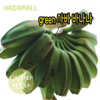 사바 바나나 필리핀 그린 바나나 green saba banana