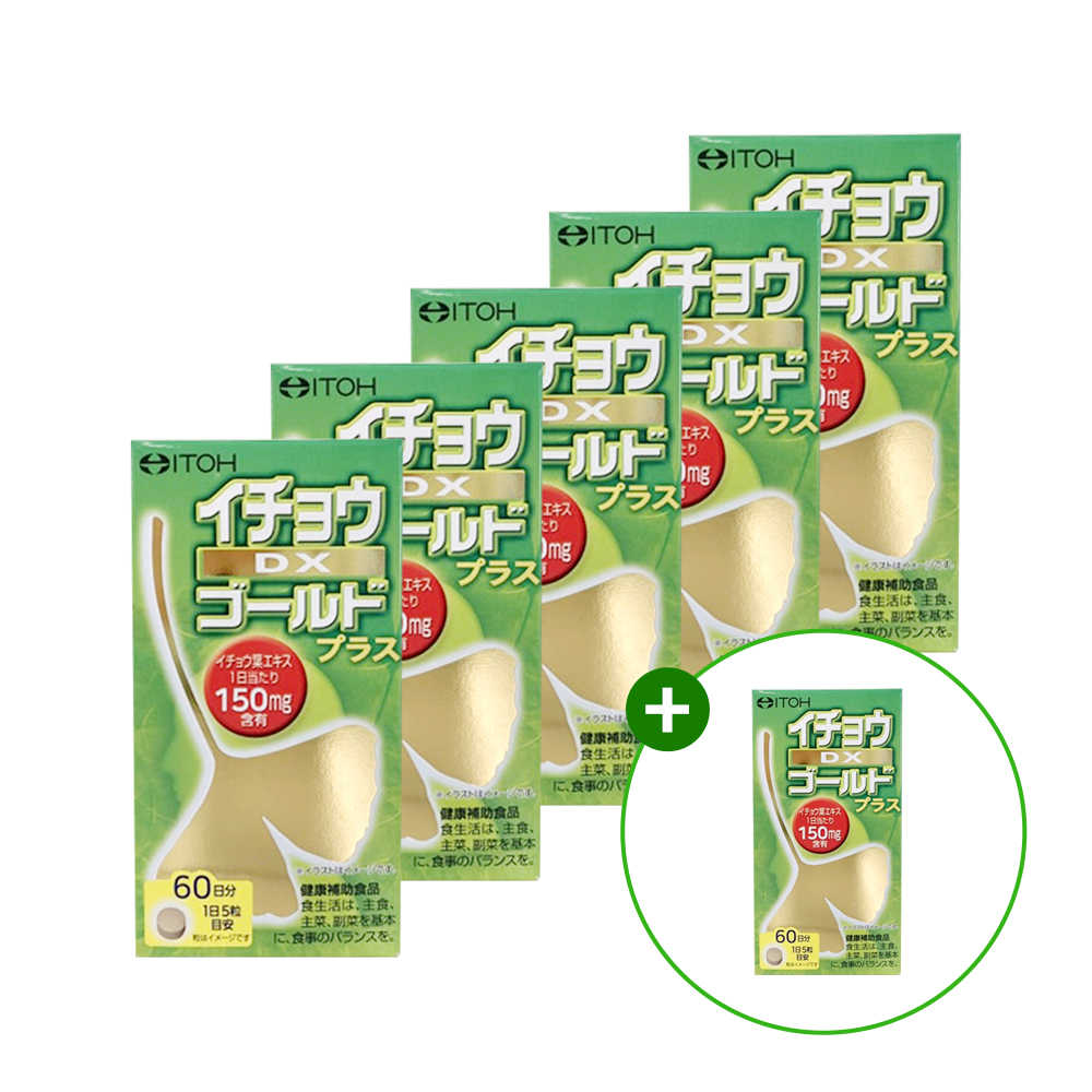 은행DX골드플러스 높은함량 은행잎추출물 혈액순환 개선 징코 3개 300정, 6개