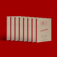 [당일출고] 스트레이 키즈 STRAY KIDS - MAXIDENT 맥시던트 (CASE ver.) 케이스 버전 8종 세트