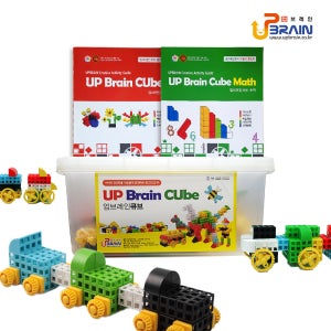 업브레인 특허받은 연결큐브 4홀 2cm 10색 256pcs 고급형 국내생산