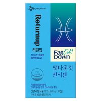 리턴업 팻다운 컷 잔티젠 605mg x 30캡슐x 3 (Costco)