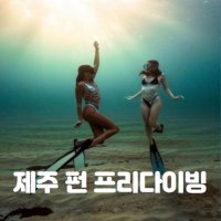 제주도 프리다이빙 [펀다이빙] 바다에서 즐겁게~