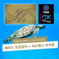 제주도 PADI 오픈워터+어드밴스 다이버 자격증 교육 스킨 스쿠버 다이빙