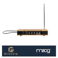 Moog Etherwave Theremin 무그 이더웨이브 테레민 신디사이저