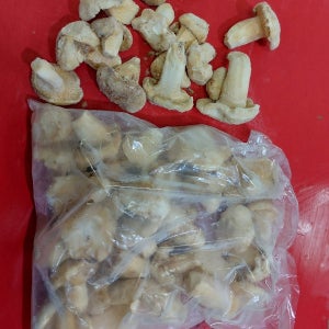 자연산 송이버섯 냉동송이1kg 터키산