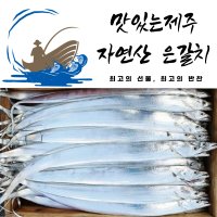 자연산 은갈치 특대 Size(4지