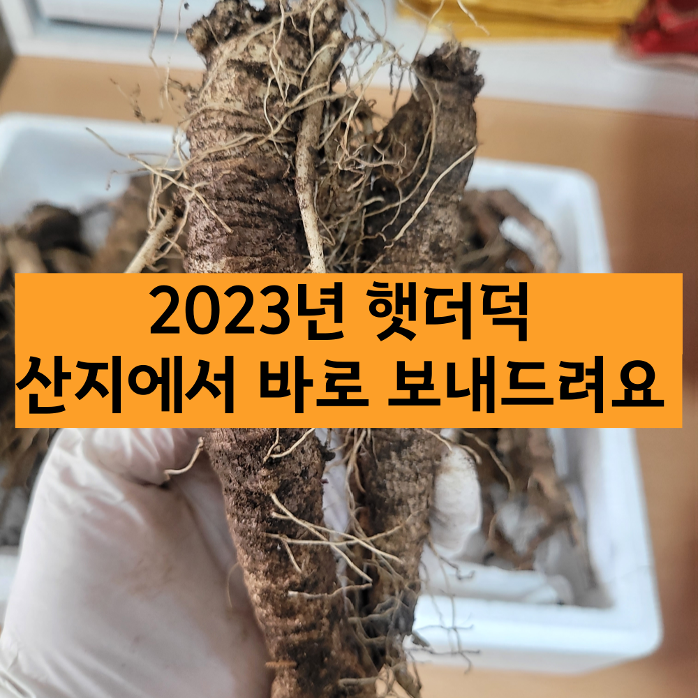 5월 가정의달 어버이날 스승의날 근로자의날 전통주 선물 추천 산삼주 더덕주 가격 : 네이버 블로그