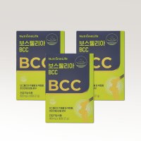 정우성 보스웰리아 BCC 관절 연골 영양제 보스헬리아 3개월