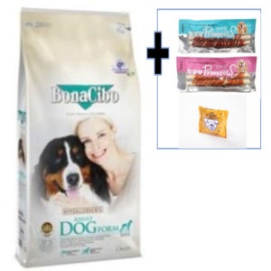 보나시보 중대형견 다이어트(시니어) 라지15kg+10인치 초대형딩고4p+안심댕면 1p