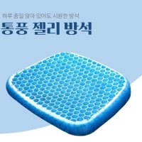 아이스 쿨젤 통풍 서장훈 강호동 젤쿠션 벌집 쿨 염경환 방석 DD-11315