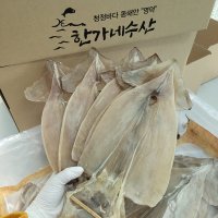 동해안 영덕 국내산 당일바리 마른오징어 건오징어 5마리 소포장 한가네수산