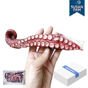 자숙 문어다리 (8kg 9kg) 모리타니아 문어 참문어 수산팜