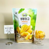 뉴뜨레 냉동망고 다이스 베트남산 1kg 아이스박스 포장 빙수토핑