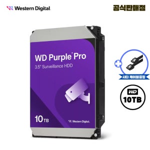 WD 퍼플 10TB CCTV 전용 하드디스크