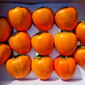 대봉감 대봉시 햇홍시 태추단감 진영단감 5kg 10kg