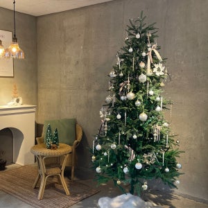 모리앤 크리스마스 전나무 대형 190cm 장식풀세트+지네전구, 럭셔리골드