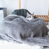 개고양이 퍼지 플러시 매트 부드러운 담요 애완 동물 겨울에 따뜻하게 유지 침대 액세서리 용품 BT