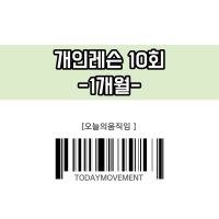 개인레슨-10회