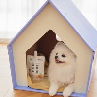 유기농 펫 두유 150ml 강아지 고양이 식물성 단백질 간식 유산균밀크