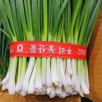 국내산 손질 깐쪽파 1단 1kg 흙쪽파