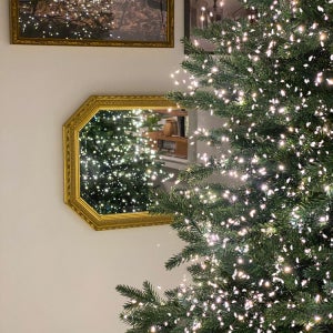 2025 천년만년 사용하는 은하수 전구