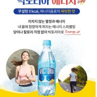 제로칼로리 청량한 건강한 시원하고 맛있는 빅토리아 탄산음료 에너지 500ml 40개