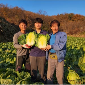 괴산클라스 김장 절임배추 절인배추 예약 20KG