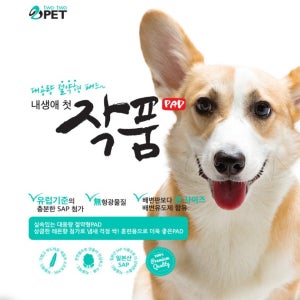내생애 첫 작품 대용량 절약형패드 100매 45x55cm 빅사이즈 무형광 배변유도제 함유