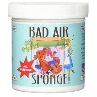 Bad Air Sponge 베드에어스폰지 오도어 방향제 1파운드