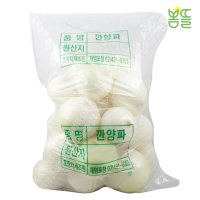 [봄뜰상회] 수입산 깐양파 10kg 대용량 중국산 업소용 중식용