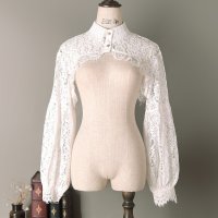 Lace Embroidery Puff Long Sleeve Half Top for Women Blouse Ruffled Fake Collar Female[C00088936]