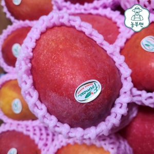 항공직송 애플망고 선물세트