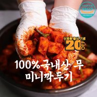 [글로벌] 미니깍두기 10kg HACCP 돈까스집 국내산 김치