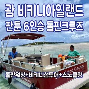 괌 비키니아일랜드 단독 출항 돌핀크루즈+비키니섬 투어+스노클링