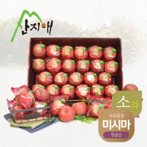 산지애 씻어나온 어린이 꿀사과 5kg 1box / 경북산 미시마, 봉지 세척사과 , 당도선별 12brix ↑
