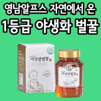 잡 꿀 결혼답례품꿀 토종 벌꿀 꿀벌 화분 꿀