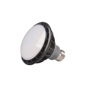 LED PAR30 램프 파30 확산형 주광색 15w