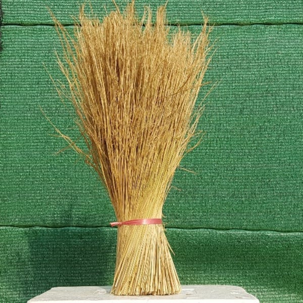 볏짚 지푸라기 볏단 벼짚 짚단 볕짚 강아지볏짚 짚불 볏짚판매 농사용 1Kg