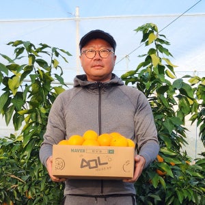 제주 황금향 5kg 10kg 10키로 하우스 못난이 조생 귤 가정용 밀감
