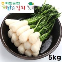 화원농협 김장김치 용 절임알타리 5kg 신안천일염