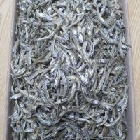 진성수산 국내산 최상급 서해안 고가이리 햇멸치 (1.5kg)