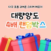 ♥︎밍구랜박♥︎ 포용 4배 대량양도 랜덤박스 다꾸 메모지 스티커