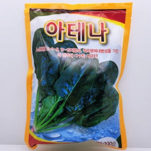 사카타코리아 울트라 아테나 시금치 씨앗 종자 극만추대성 노균병 저항 위조병 내병성 노지 고랭지 월동