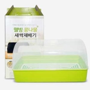 콩나물재배기 수경재배기 콩나물키우기 식물 새싹 가정용
